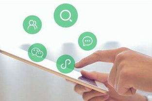 流量風(fēng)口下的品牌困局 技術(shù)推廣的機(jī)遇與陷阱